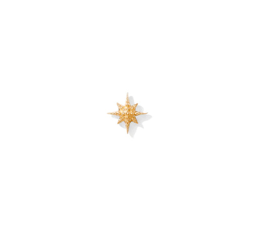 Twinkle Pin
